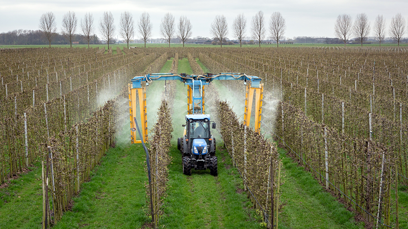 Spraying crops with Roundup